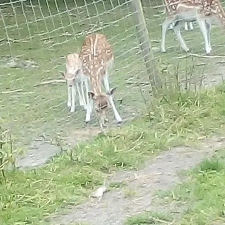 Maison De Maitre En Baie De Somme