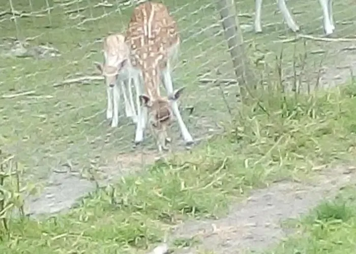 Maison De Maitre En Baie De Somme