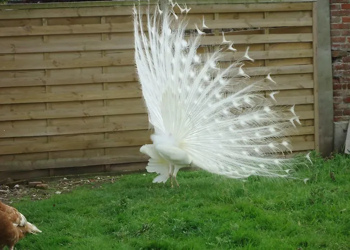Maison De Maitre En Baie De Somme * Favières